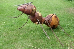 2012-07-Ameise-1