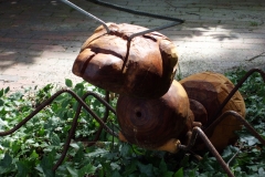 2012-07-Ameise-11